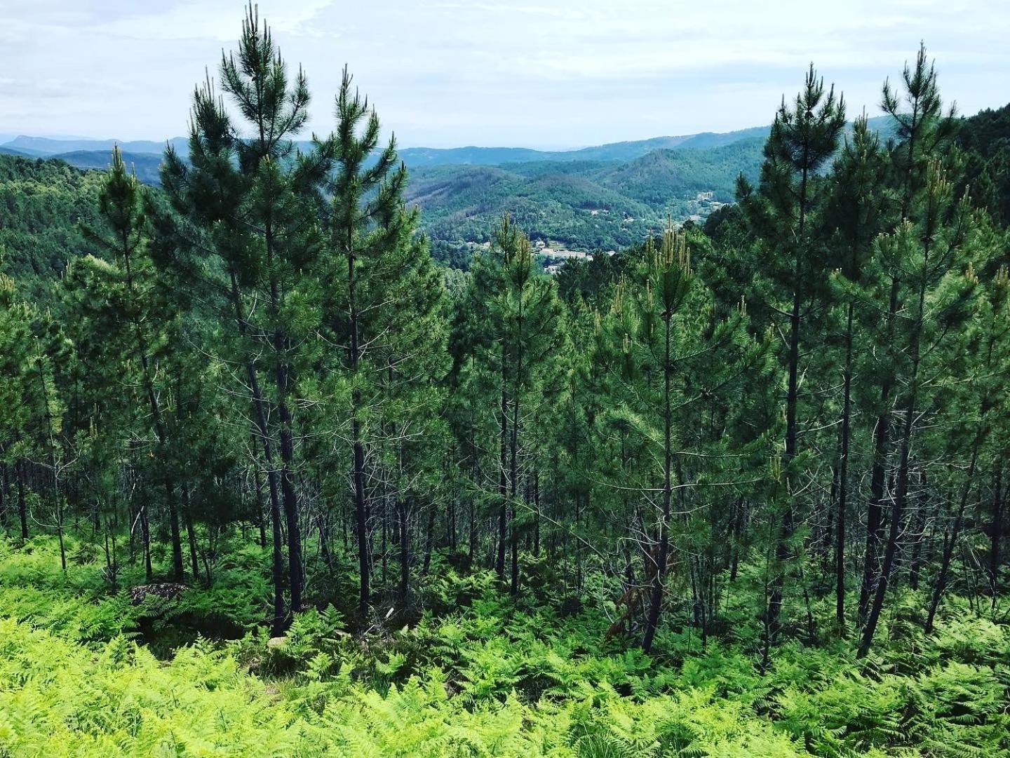 Detente Au Coeur Des Cevennes Besseges Dış mekan fotoğraf